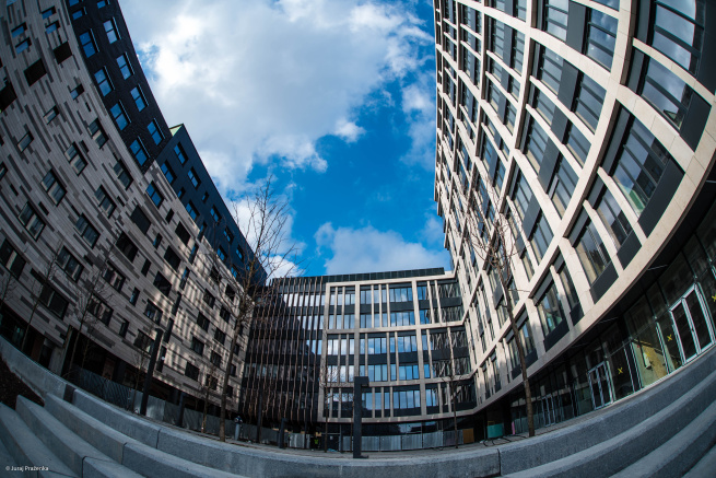 Blumental Offices