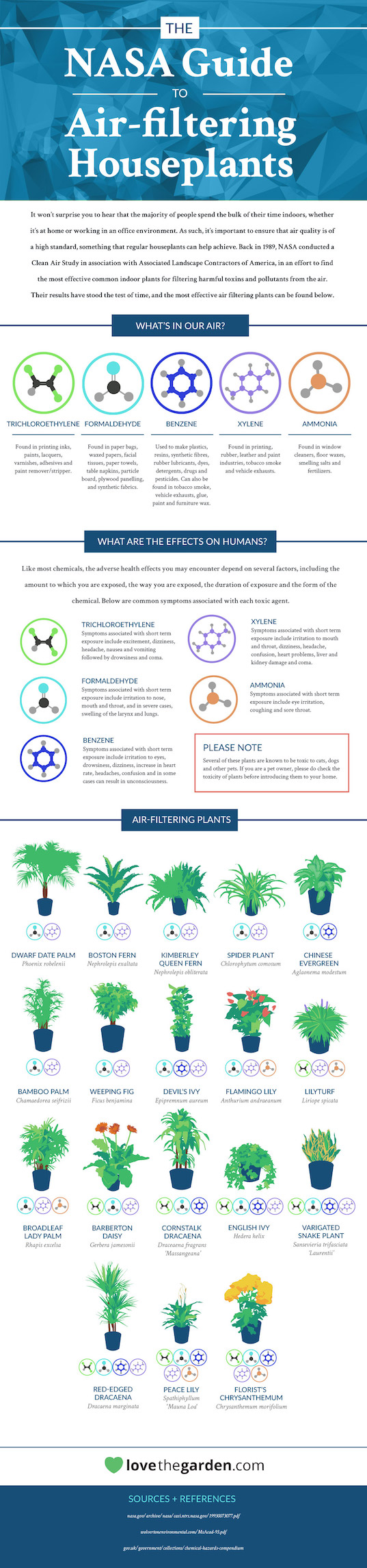 Infografika