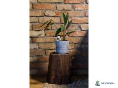 Exteriér, Bratislava Karadžičova 10