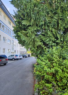 Interiér, Dolné Rudiny 5, Žilina 01001, AB RENTAL, s.r.o.