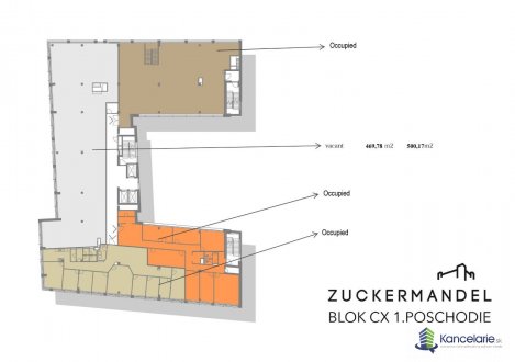Pôdorys, Žižkova 22/B, Bratislava 81102, CBRE s.r.o.
