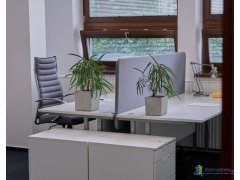 Interiér, Bratislava Štefanovičova 12