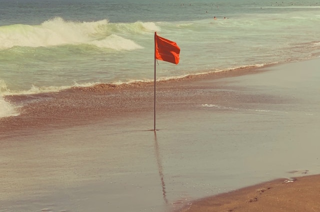 Seoyeon Choi / Unsplash.com