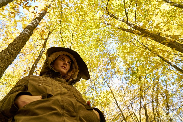 Engin_Akyurt / Pixabay.com