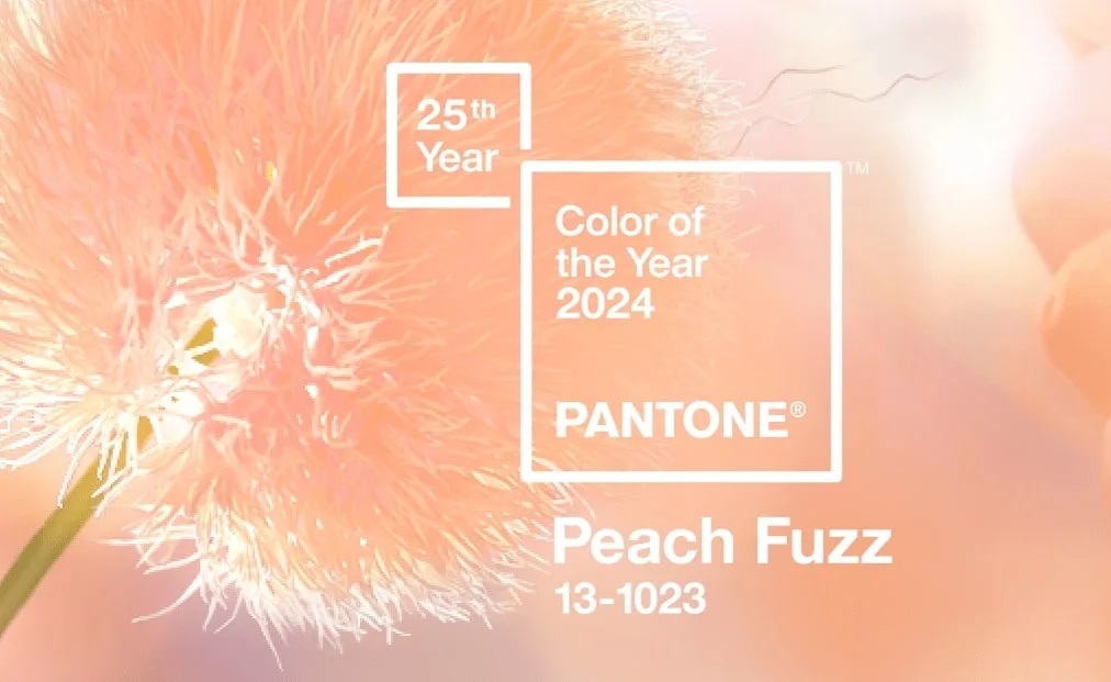 COTY Pantone